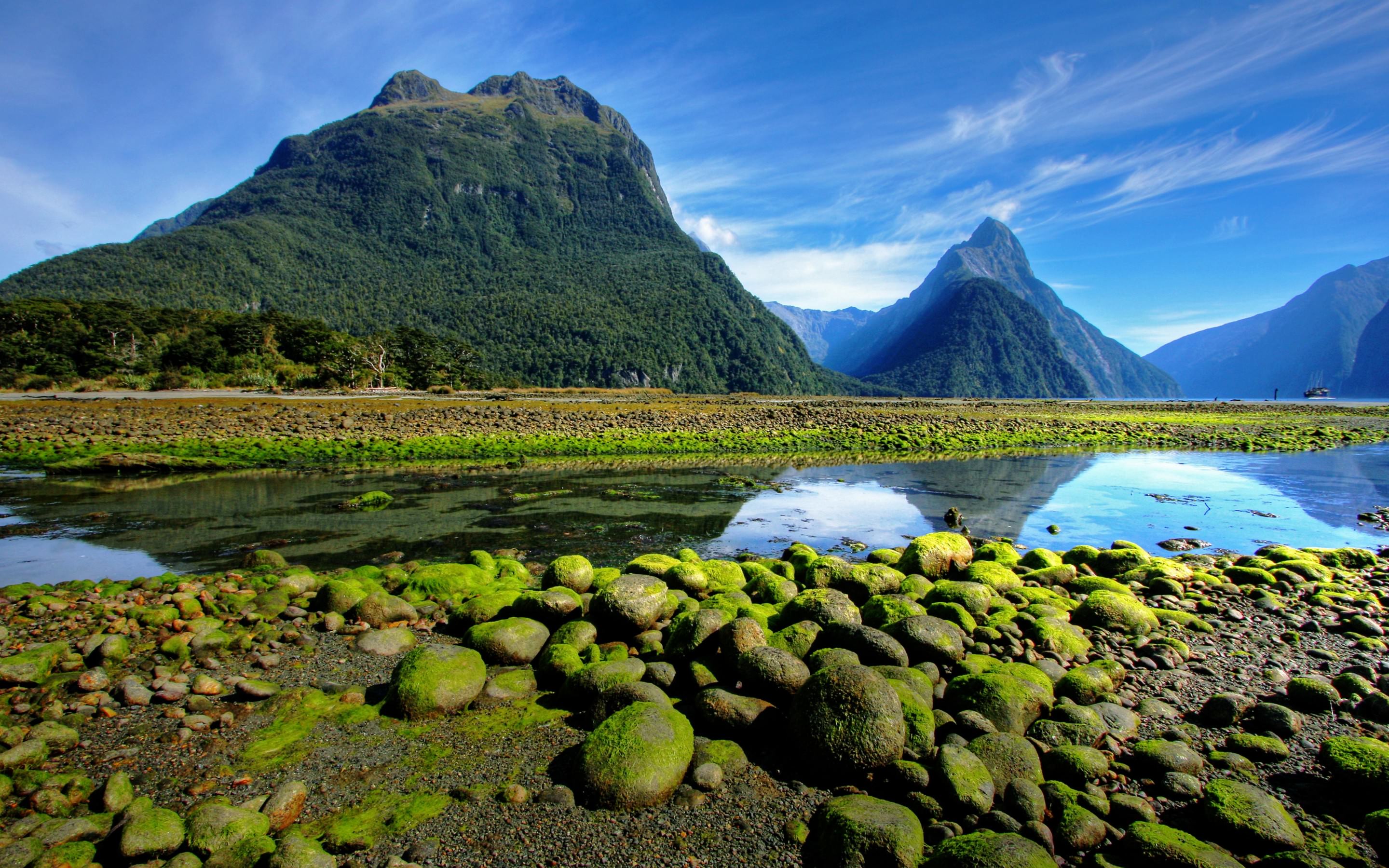 Новая Зеландия ландшафт