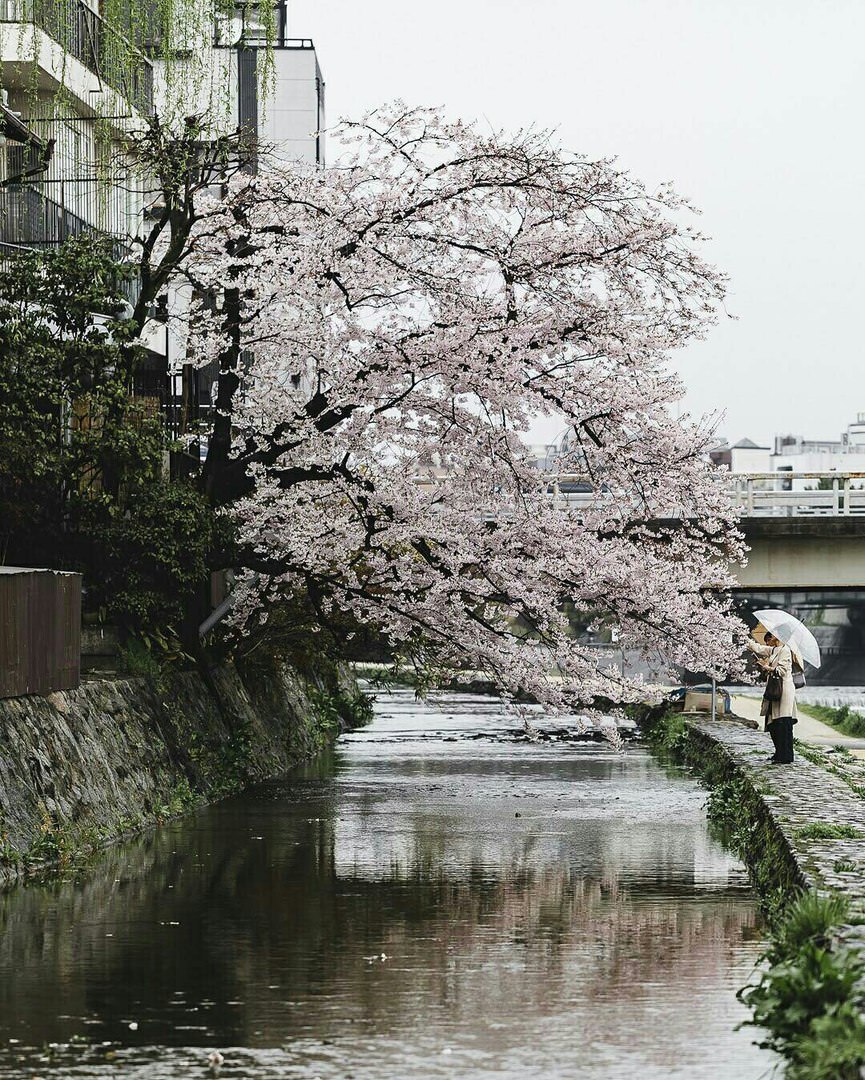 Фотография - город Киото