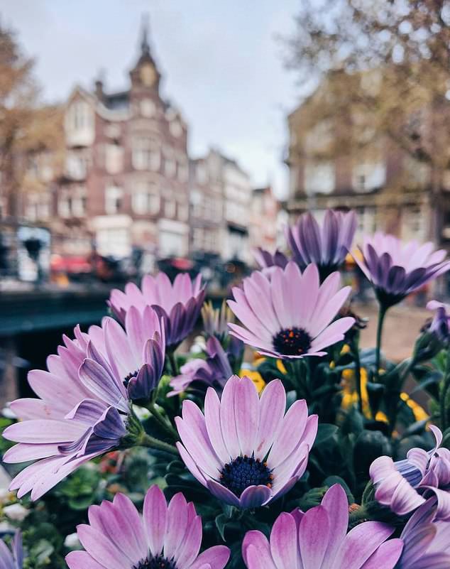 Фото - Красоты голландских городов