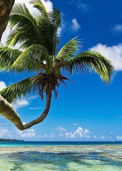 Картинки - пляжи на острове Таити
