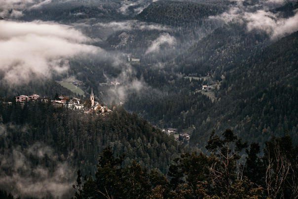 Фото - Леса в горах Италии