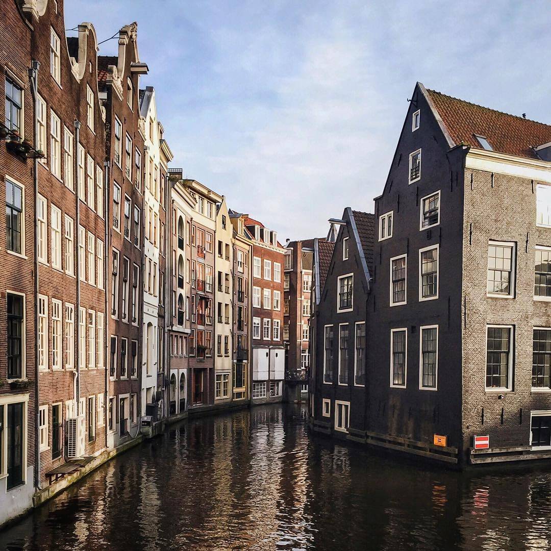 Фото - дома на воде Амстердам 