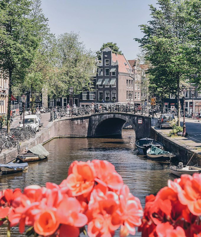 Фото - Нидерланды в цветах
