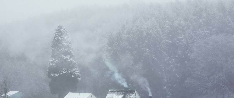 Вальд, Германия