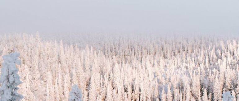 Зимняя Финляндия